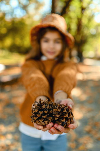 Girl holding pine cones in hands. Selective focus
