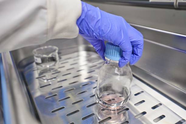 Hand of researcher with nitrile grove, The researcher warm the cell culture media in the water bath to prepare cell test and change media. The lab test in the laboratory room. stock photo