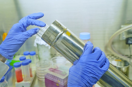 The women researcher using seropipette and cell culture flask do the aseptic technique for changing the medium of adherent cell culture is needed to maintain cells in numeral growth.