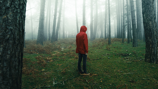 Medium Shot of man with red jacket walks in the foggy woods