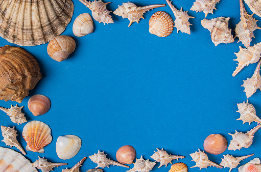 Postcard template from the seashore, blue background in a frame of sea shells