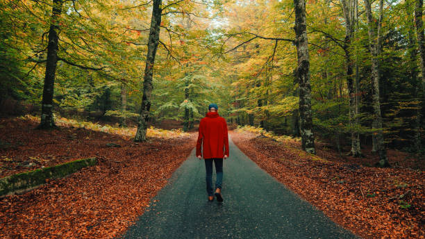 istock Man Walks In Autumn Woods 1433828298