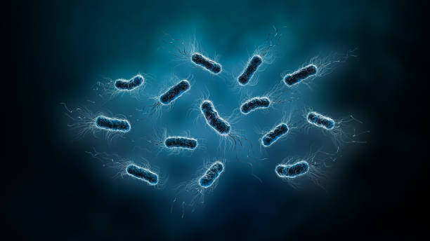 gruppo di batteri, come escherichia o e. coli, o bacilli 3d rendering illustrazione. microbiologia, biologia, medicina, sanità, concetti scientifici. - bacillus subtilis foto e immagini stock