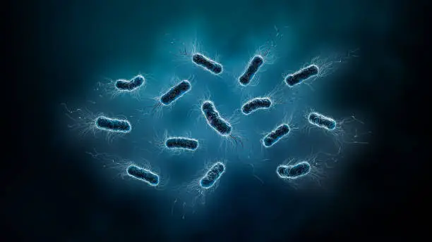Group of bacteria, such as Escherichia or E. Coli, or bacilli 3D rendering illustration. Microbiology, biology, medical, healthcare, science concepts.