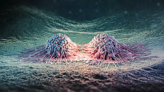Cancer cells mitosis or proliferation 3D rendering illustration. Division of two malignant cells causing carcinoma close-up. Medicine, oncology, science, disease, biology and microbiology concepts.