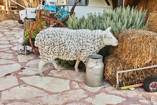 Lamb made of gypsum eats real hay and milk can. Decoration and design of interiors and exteriors.