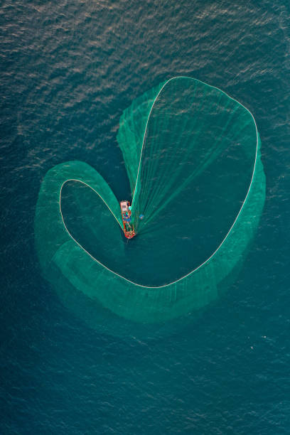 Netting anchovies Drone view of fishing boat is netting anchovies on the sea in sunrise, Phu Yen province, central Vietnam fish trawler stock pictures, royalty-free photos & images