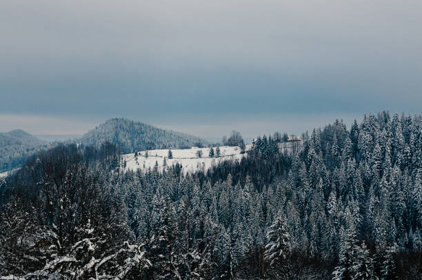 istock Cloudy winter mountain village landscape 1433839181