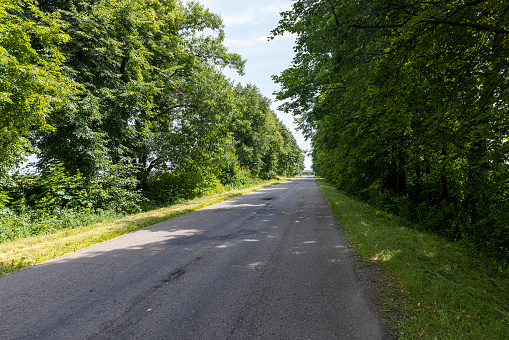 paved road for car traffic, road for vehicles through a mixed forest with trees in summer