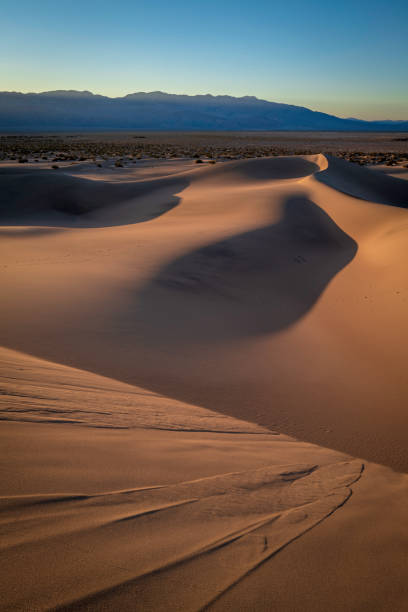 istock Mesquite Flat Sand Dunes and abstract geometry of curving arid terrain 1433855747