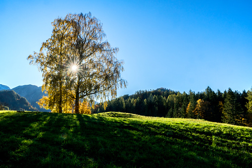 Autumn in the foothills of the Alps of Upper Austria, Austria, Europe