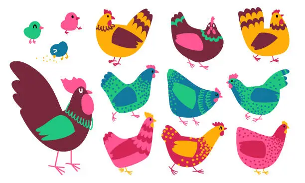 Vector illustration of Vector rooster and hen illustrations. Cartoon style. Doodle chicken set