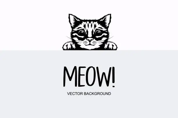 Vector illustration of Vector Monochrome Hand Drawn Black, White Hiding Peeking Kitten. Kitten Head with Paws Up Peeking Over Blank White Placard, Poster, Card, Banner. Pet Kitten Curiously Peeking Behind White Background
