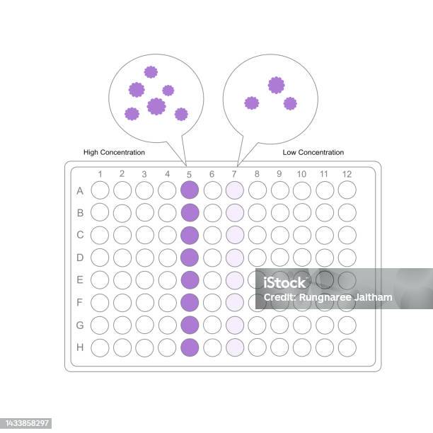 高濃度および低濃度分析を表す96ウェルプレート上の標的分子検出の解釈 免疫学的検定のベクターアート素材や画像を多数ご用意 免疫学的検定