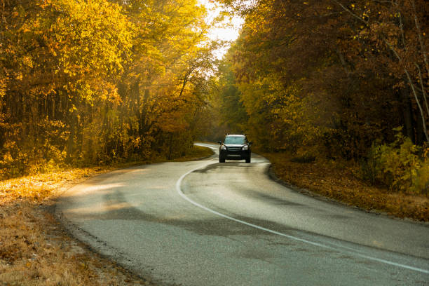 istock winding rual road inside colorful autumn forest with black car 1433859949