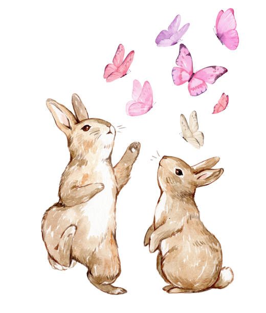 ilustraciones, imágenes clip art, dibujos animados e iconos de stock de acuarela de dos conejos jugando y atrapando mariposas rosas. conejitos jugando en un prado. - conejo