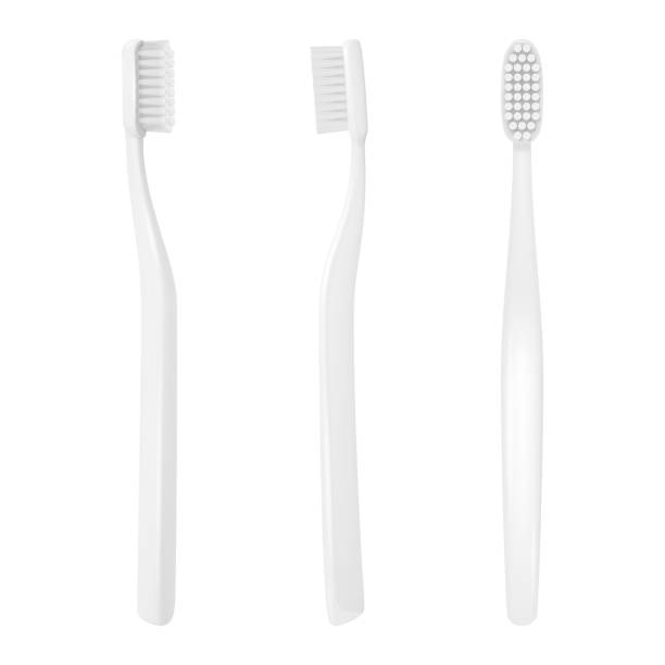 ilustrações de stock, clip art, desenhos animados e ícones de vector 3d realistic white plastic blank toothbrush icon set isolated on white background. design template, mockup. dentistry, healthcare, hygiene concept. tooth brush in front, top, side view - toothbrush