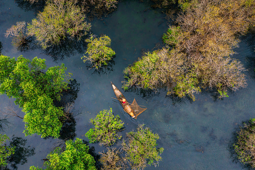 Drone view fisherman in Ru Cha forest - a mangrove forest in leaf changing season - Huong Phong, Huong Tra, Thua Thien Hue province