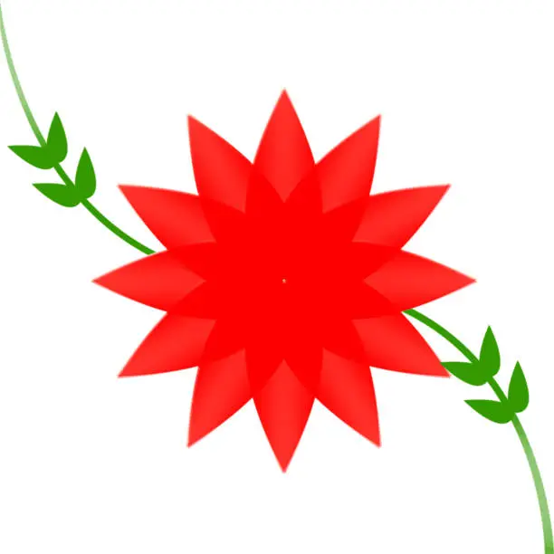 Photo of closeup the red flower with vine and green leaves art on the white background.