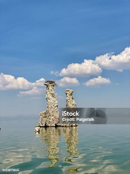 Osprey Nest Mono Lake Stock Photo - Download Image Now - Beauty, Beauty In Nature, Blue