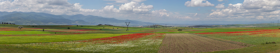 An endless blue sky with fluffy white clouds casting a shadow on the ground. Rural landscape with fields and flowering meadows and a mountain range on the horizon
