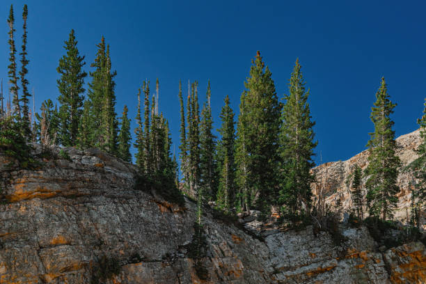 Foothill Scene Of The Big Horn Mountain Range.