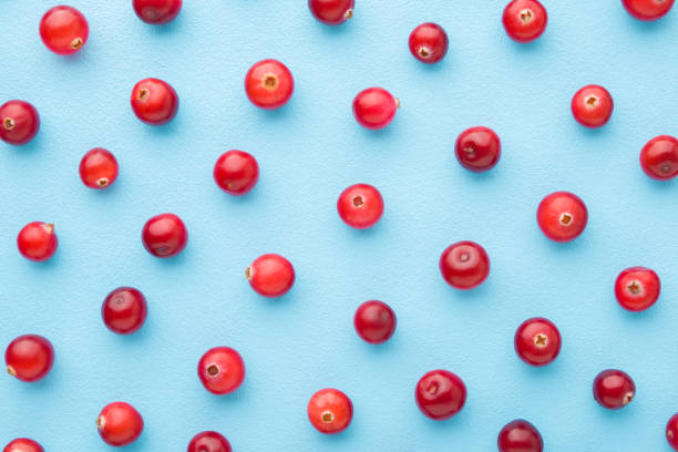 Fresh red cranberries on light blue table background. Pastel color. Closeup. Top down view. Berries pattern. stock photo
