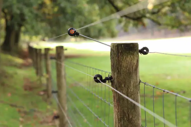 Photo of Electrical fence next to a meadow