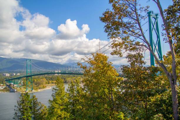 istock Lion's Gate Bridge from Stanley Park on a sunny summer day 1433889058