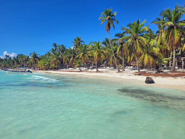 istock dominican Republic Landscape 1433895003