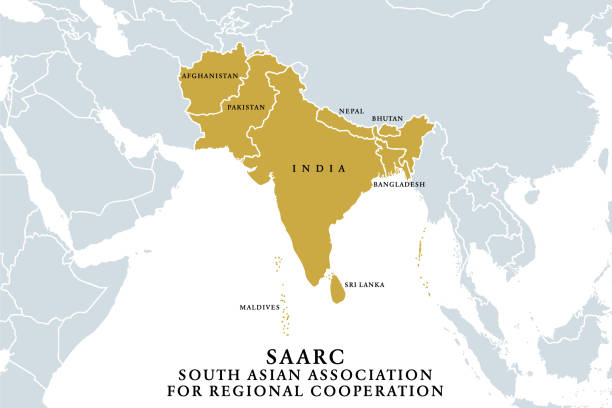 saarc, südasiatische vereinigung für regionale zusammenarbeit, mitgliederkarte - india map sri lanka pakistan stock-grafiken, -clipart, -cartoons und -symbole