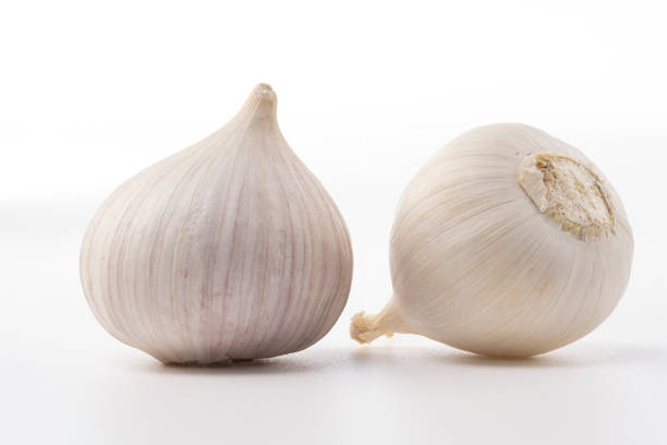 Garlic sprout