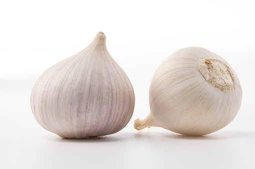Cute garlic isolated on pure background photo.