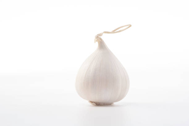 Fresh garlics isolated on white background photo.