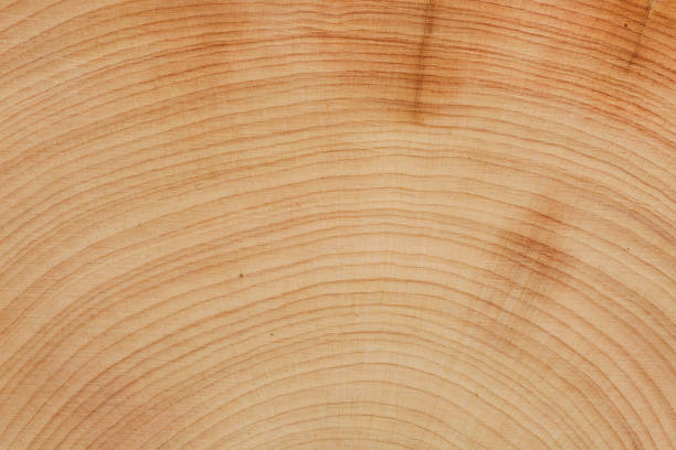 istock Wood texture for design and decoration. 1433899739