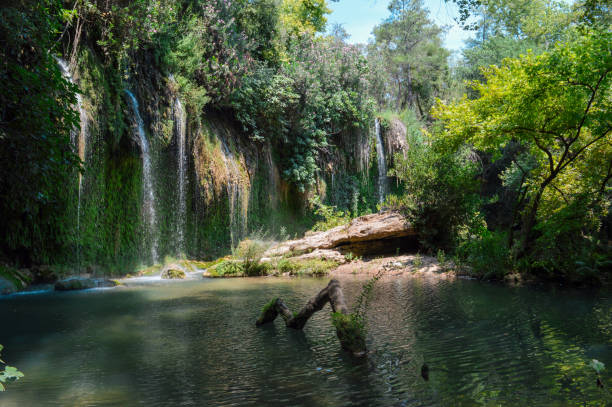 cachoeira kursunlu - waterfall antalya turkey forest - fotografias e filmes do acervo