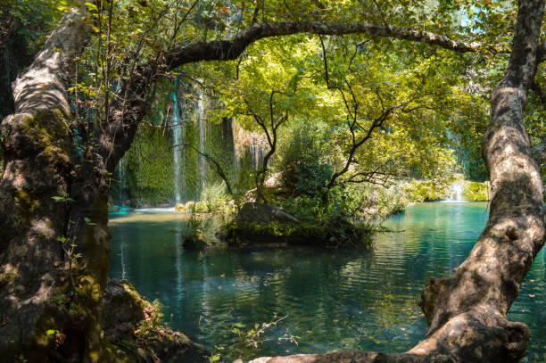 kursunlu cachoeira - waterfall antalya turkey forest - fotografias e filmes do acervo