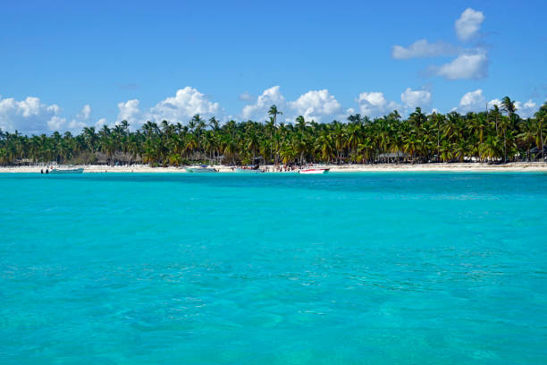 istock dominican Republic Landscape 1433900570