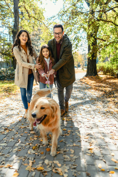 Happy family taking their dog for an autumn walk stock photo