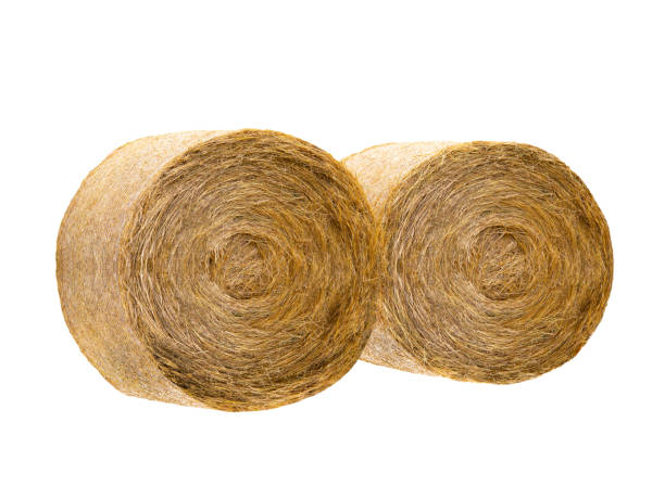 istock two dryround bale isolated on white background 1433902987