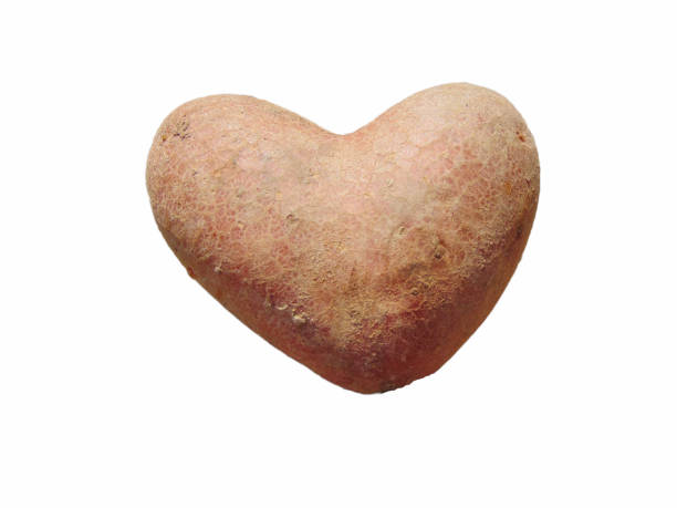 istock Heart-shaped potato found in Maramures, Romania isolated on white 1433903665
