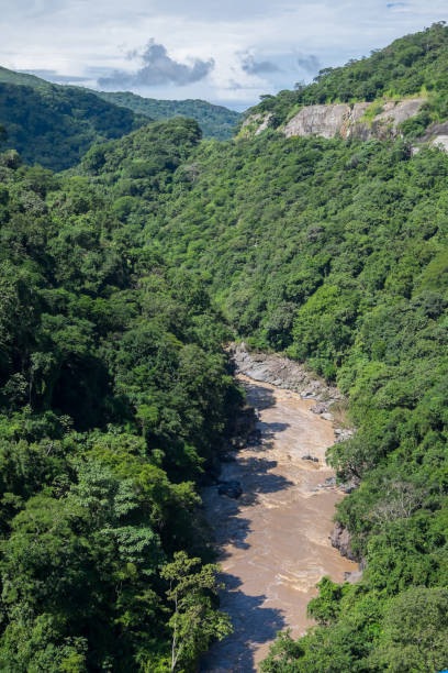 istock River in Costa Rica 1433906369