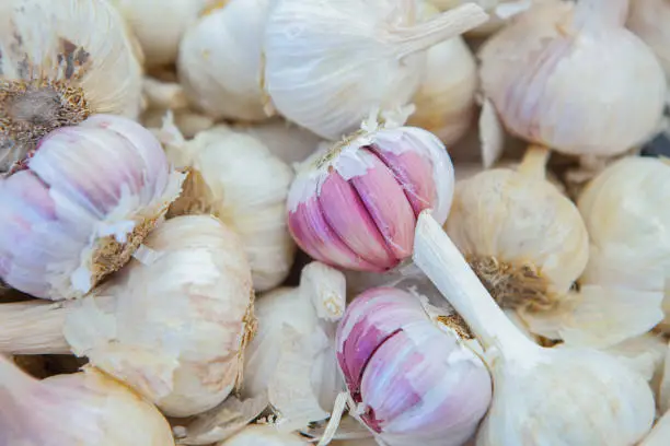 Spanish pink garlic bulbs. Displayed at street market stall