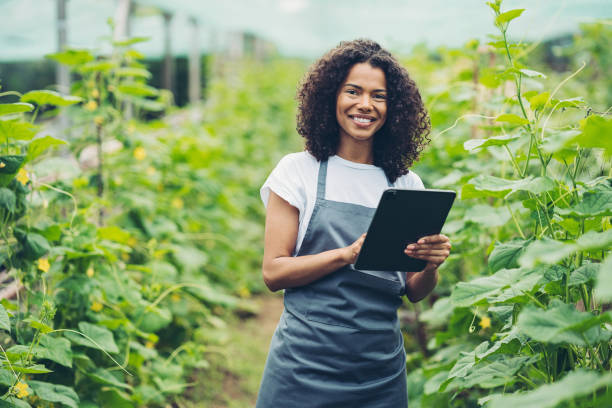 istock Young woman in a vegetable farm 1433912455