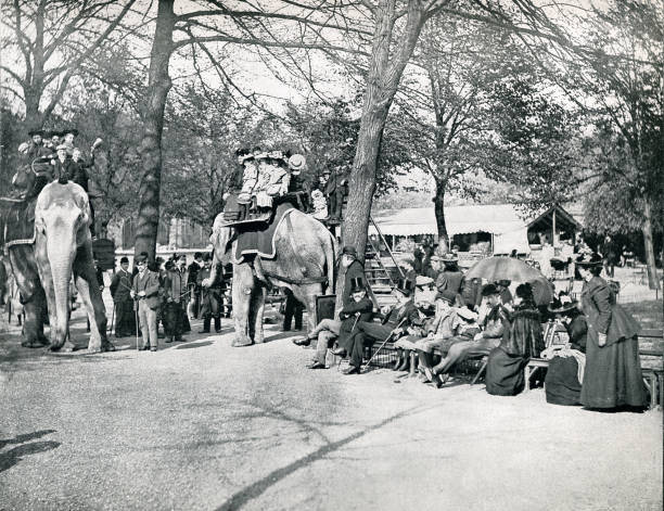 istock London Zoo riding elephants 19th century Lodnon 1433924320