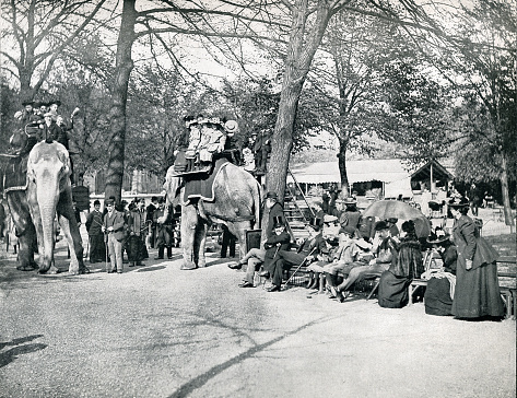 Opened in London in 1828 intended to be used as a collection for scientific study. In 1832, the animals of the Tower of London menagerie were transferred to the zoo's collection. Crowds of people riding elephants