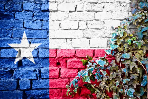 Photo of Texas grunge flag on brick wall with ivy plant