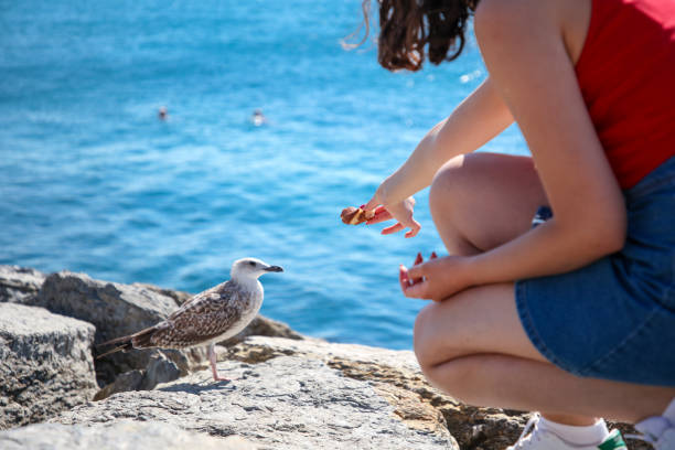 Girl giving a bagel to a seagull in Istanbul