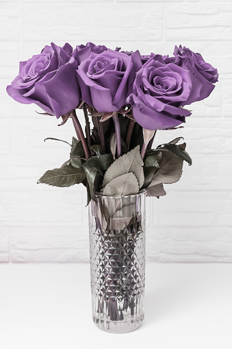 A bouquet of violet purple roses in a vase symbolising sorrow, grief and sadness.