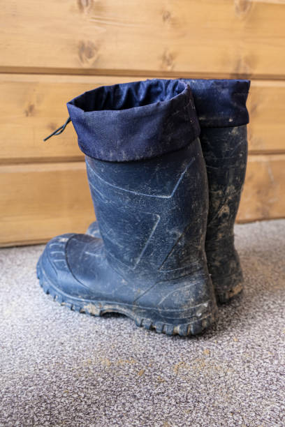 istock Dirty blue rubber boots after darden work, rustic life and work concept 1433928484